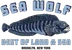 Sea Wolf